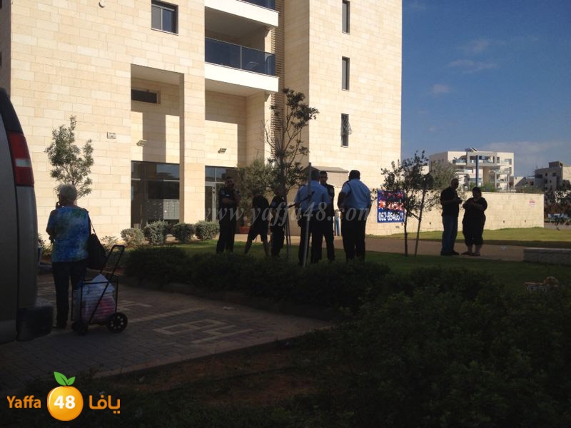 Kid 6 years kledl (4).JPG